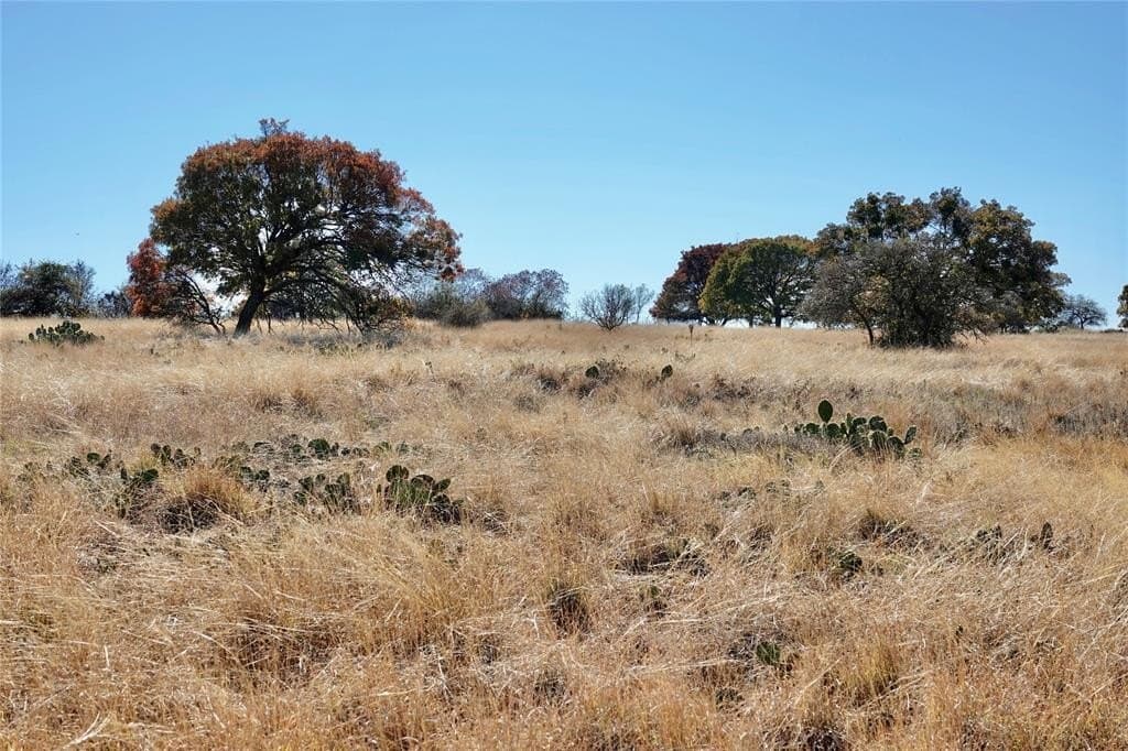 34 acres in Mills County - photo 11
