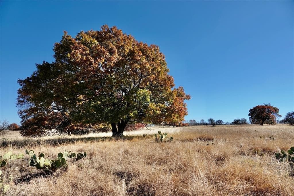 34 acres in Mills County - photo 2