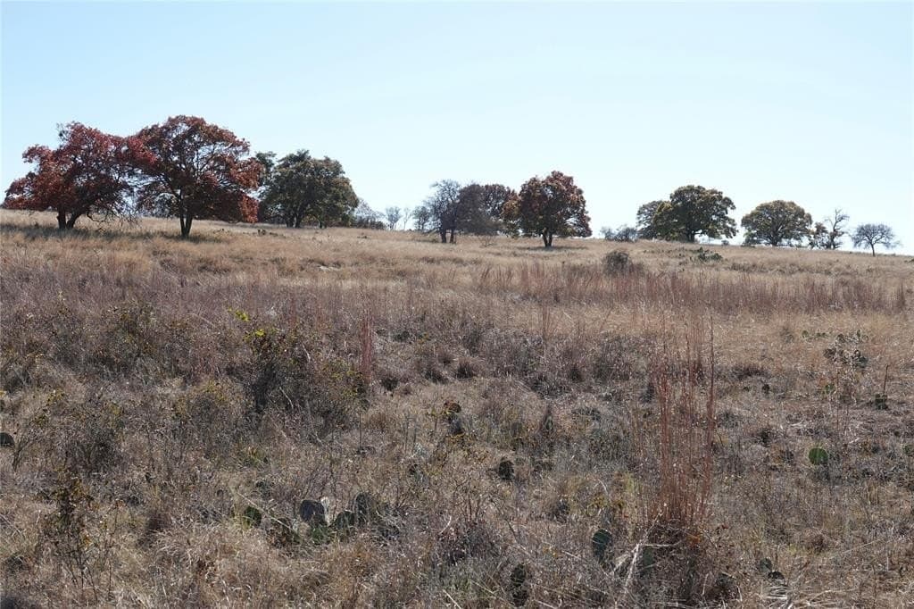 34 acres in Mills County - photo 17