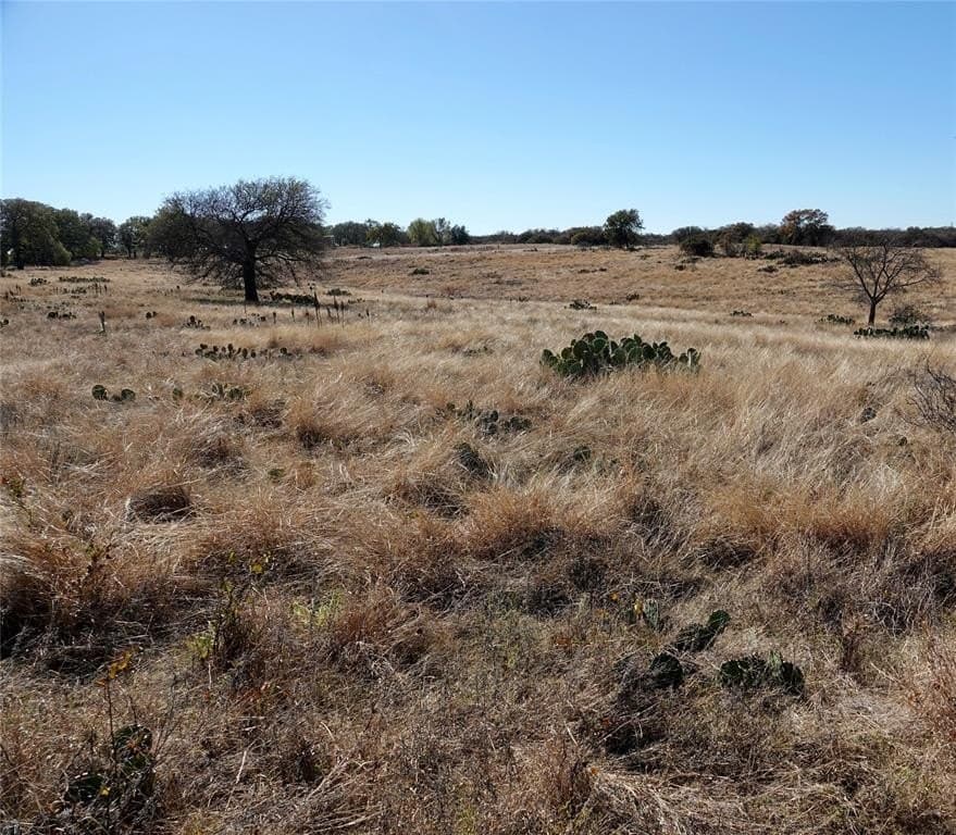 34 acres in Mills County - photo 21