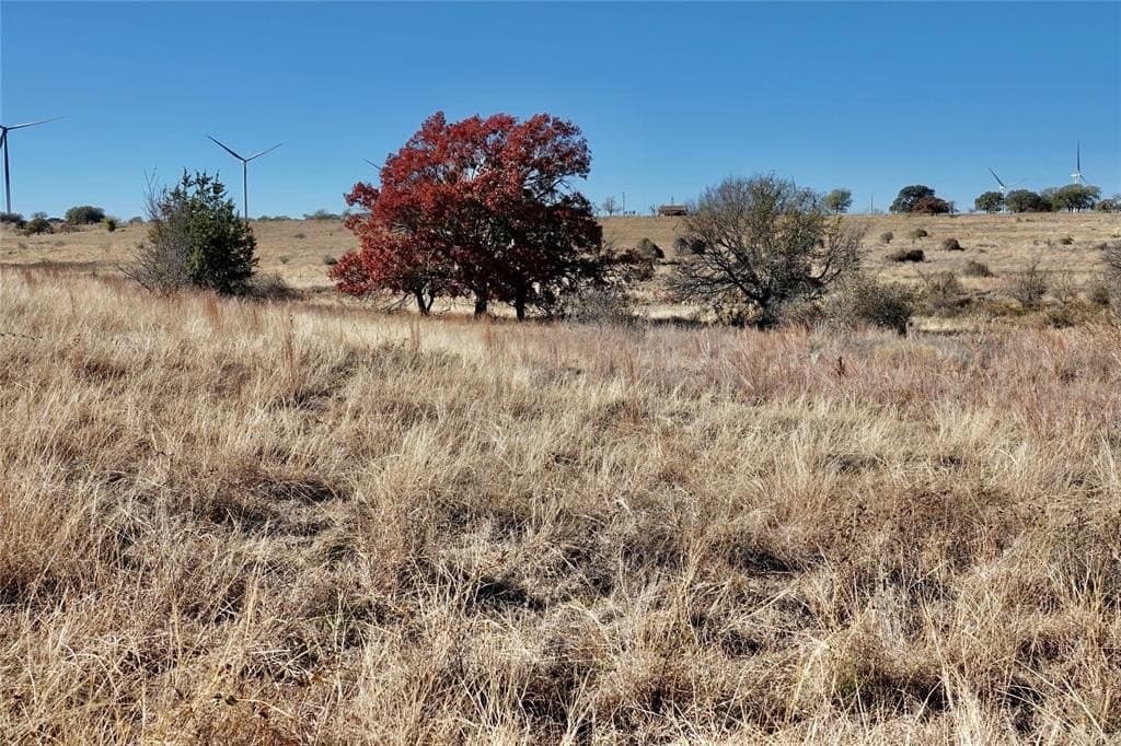 34 acres in Mills County - photo 14