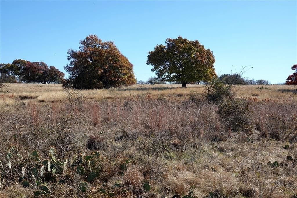 34 acres in Mills County - photo 16