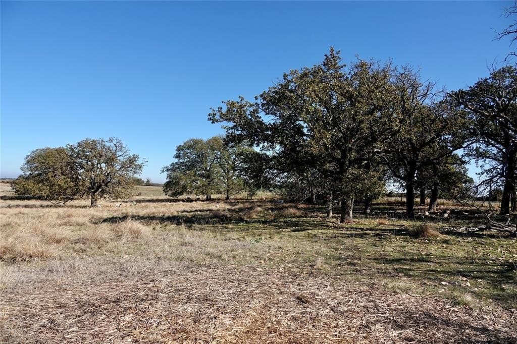 34 acres in Mills County - photo 4
