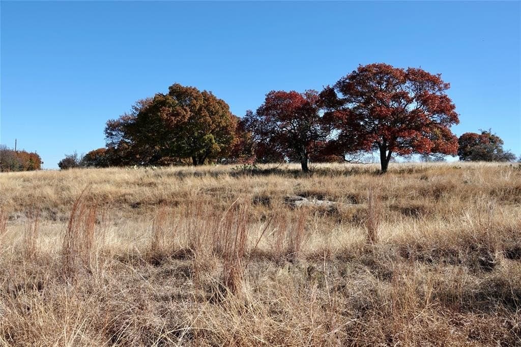 34 acres in Mills County - photo 18