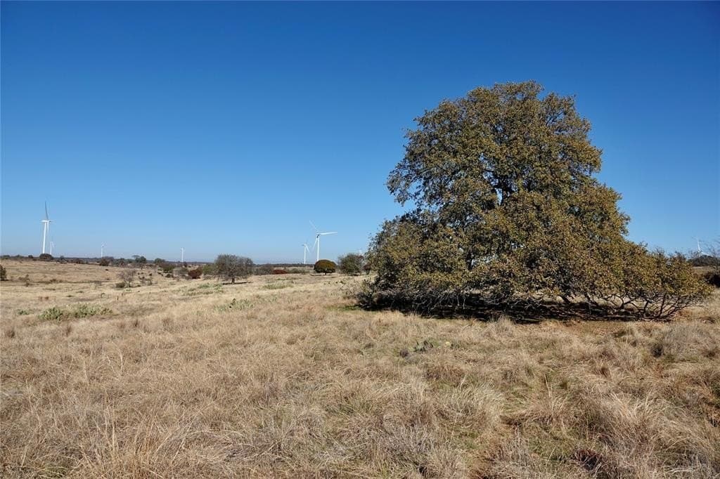 34 acres in Mills County - photo 6