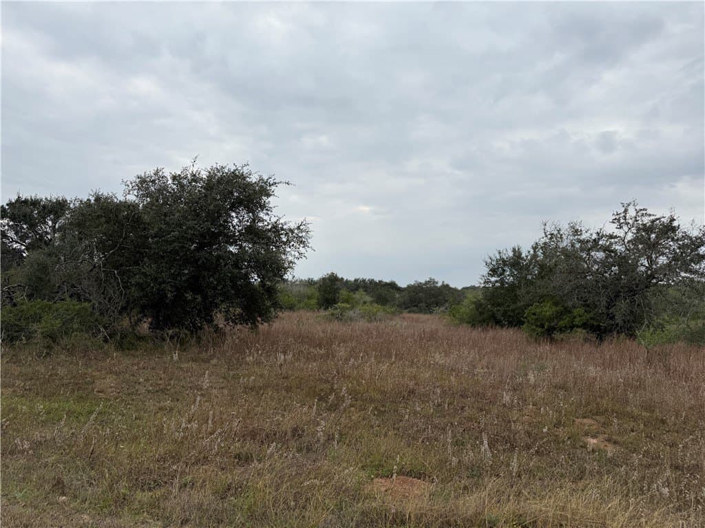 6.11 acres in Bee County - photo 3