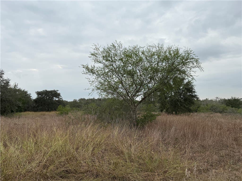 6.11 acres in Bee County - photo 5