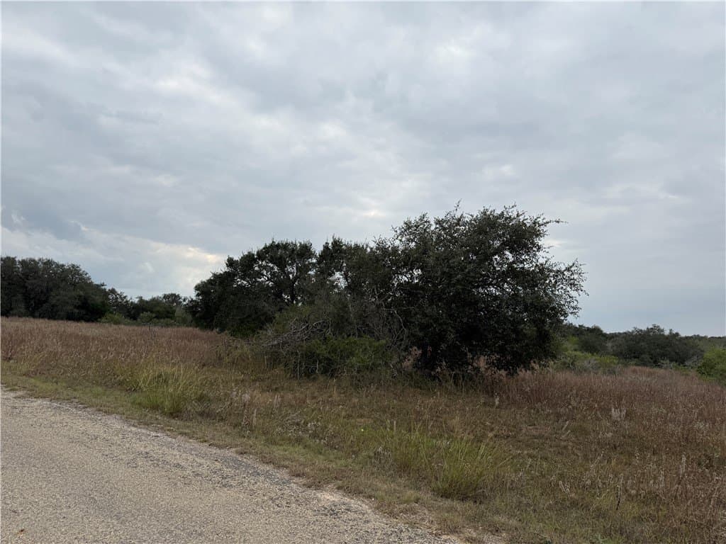 6.11 acres in Bee County - photo 4