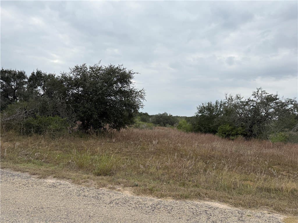 6.11 acres in Bee County - photo 2