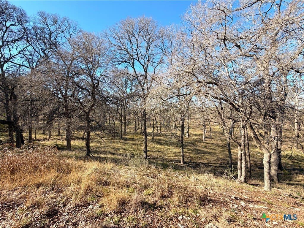 1.19 acres in Comal County - photo 4