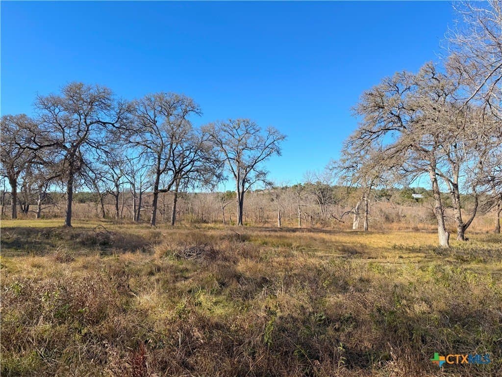 1.19 acres in Comal County - photo 12