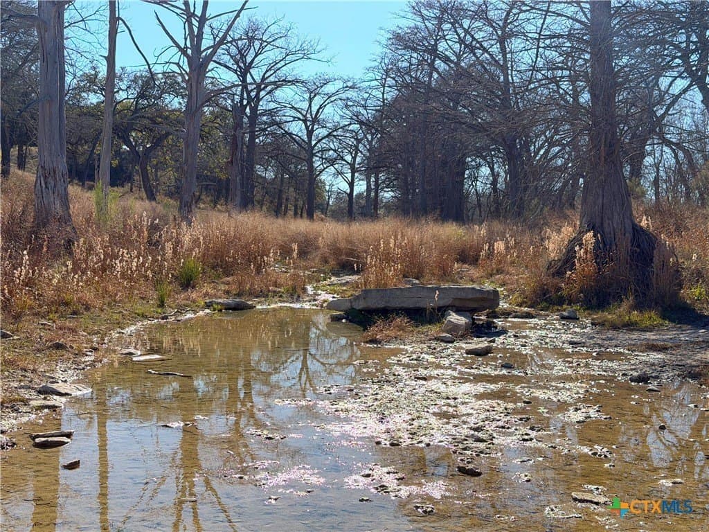 1.19 acres in Comal County - photo 13
