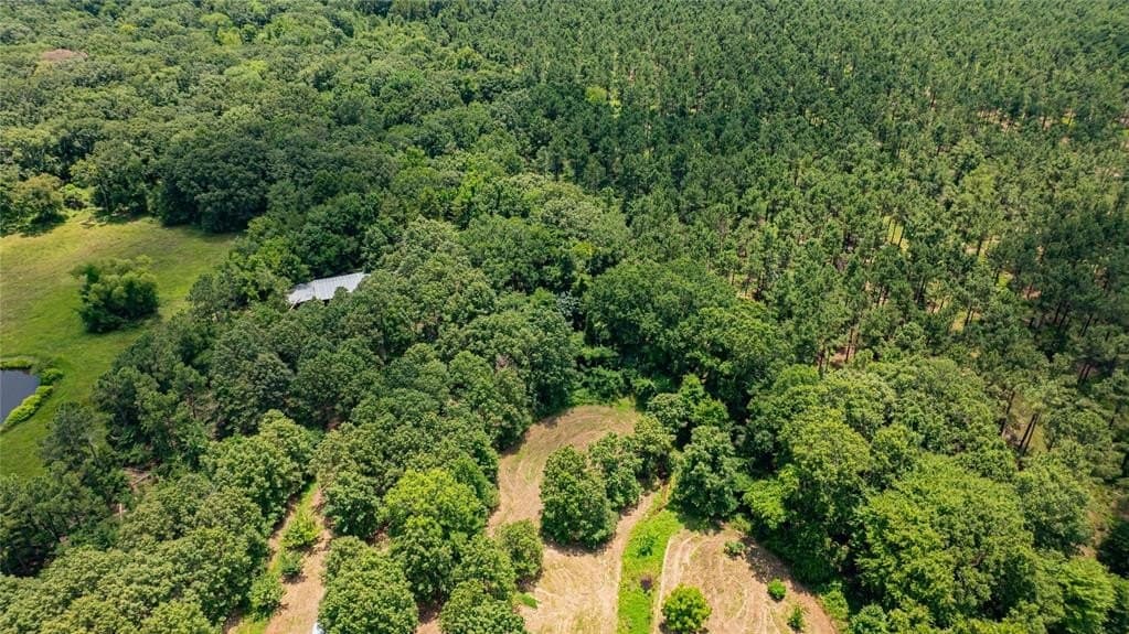 29.7 acres in Franklin (TX) County - photo 31