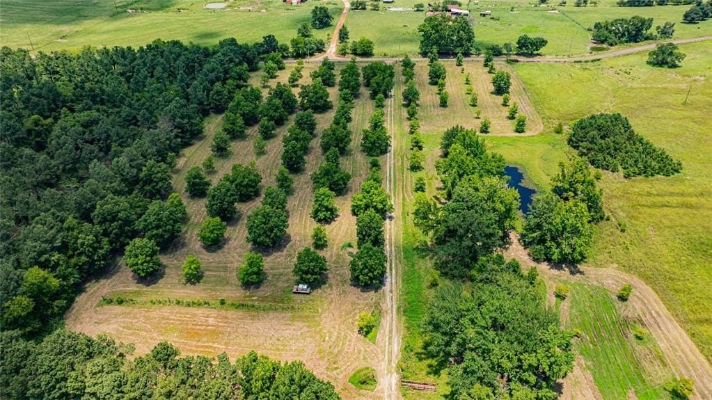 29.7 acres in Franklin (TX) County - photo 32