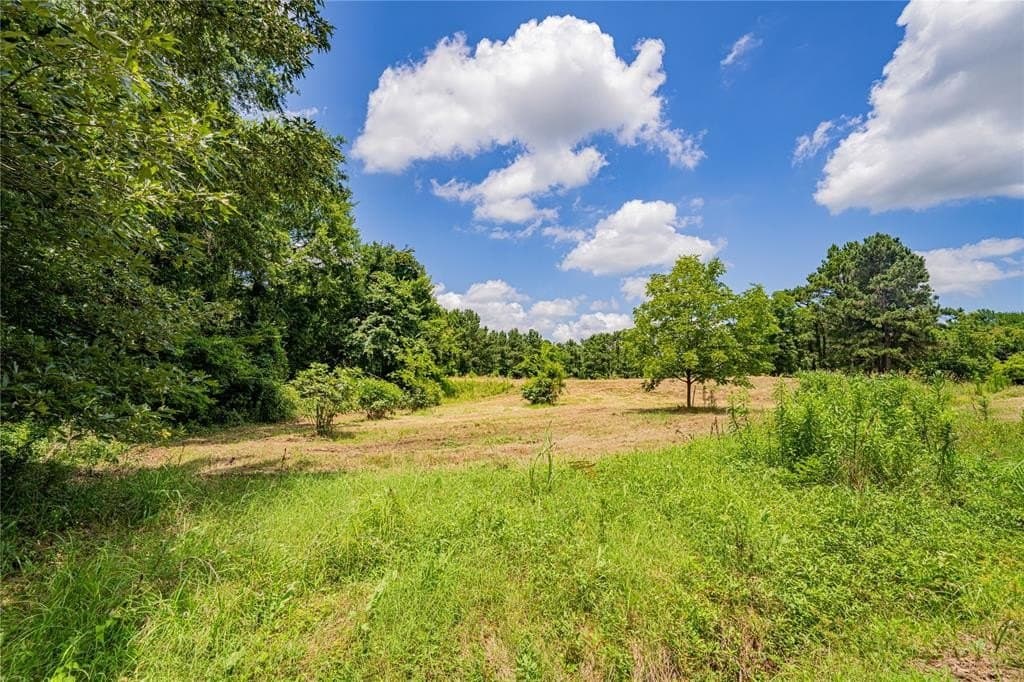 29.7 acres in Franklin (TX) County - photo 22