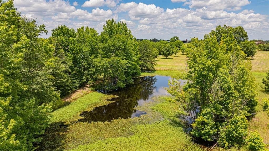 29.7 acres in Franklin (TX) County - photo 26