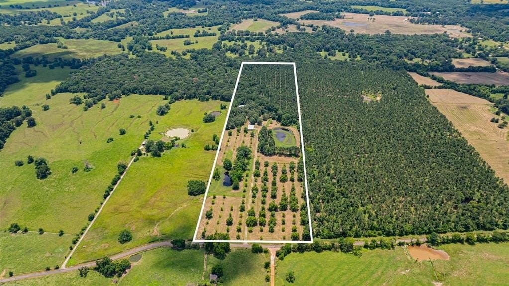 29.7 acres in Franklin (TX) County - photo 33