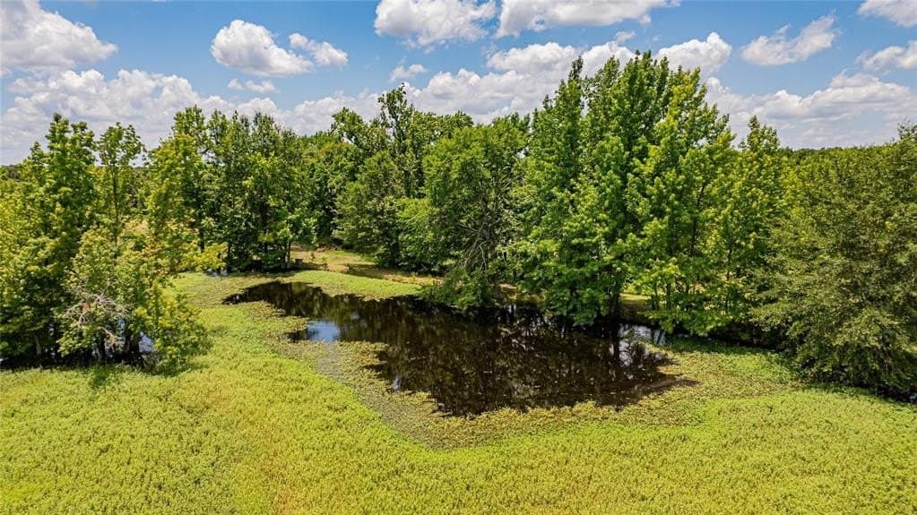 29.7 acres in Franklin (TX) County - photo 27