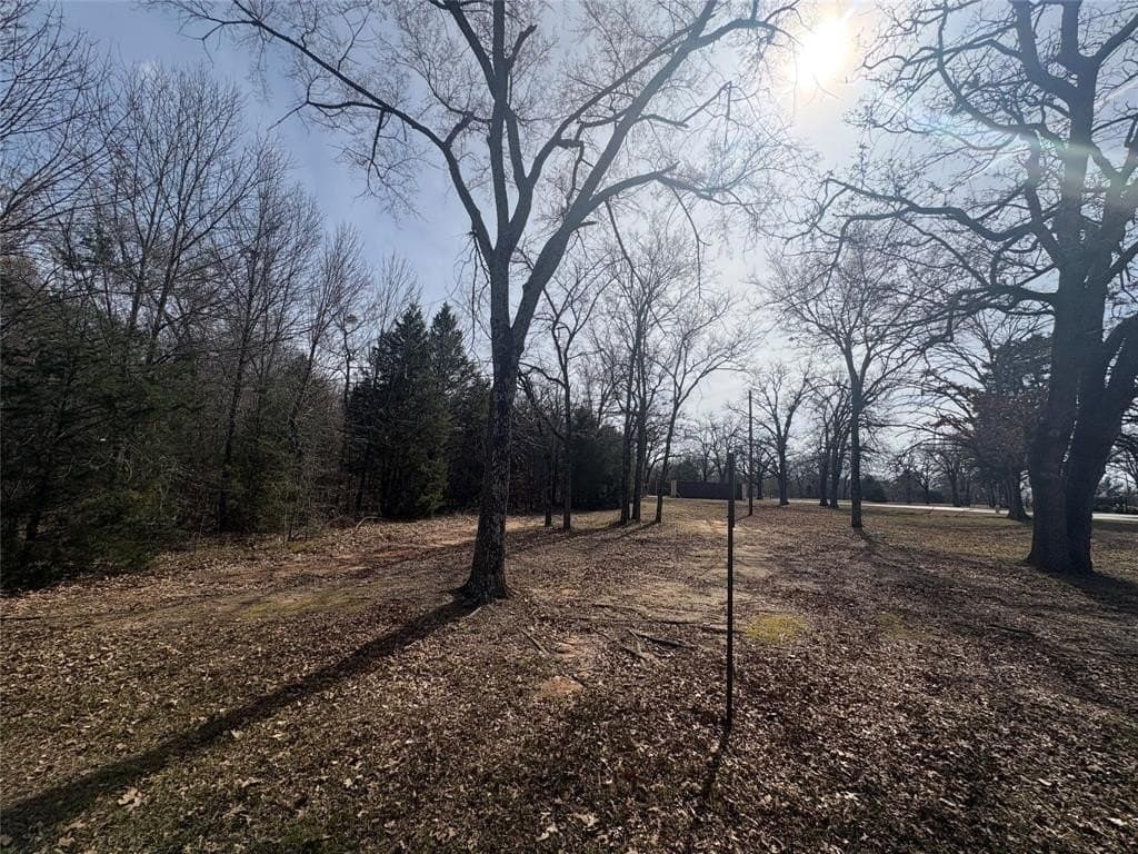 0.2 acres in Henderson County - photo 3
