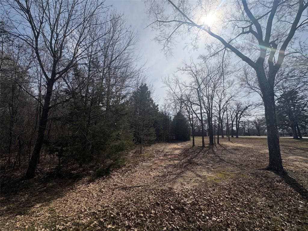 0.2 acres in Henderson County - photo 4