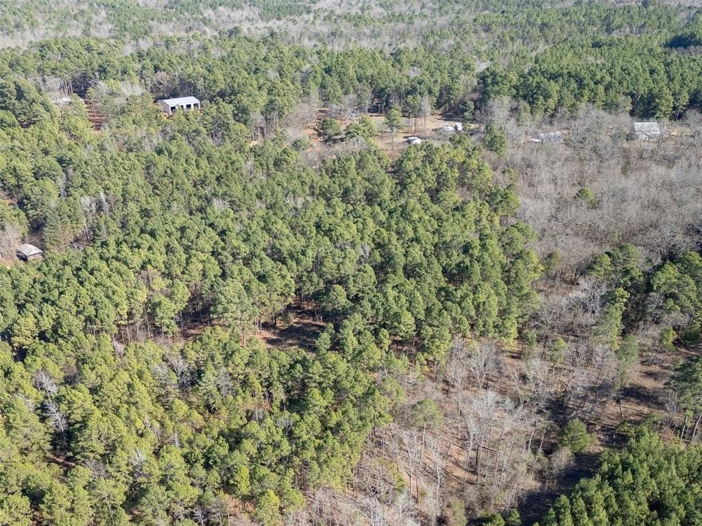 13.58 acres in Wood County - photo 34