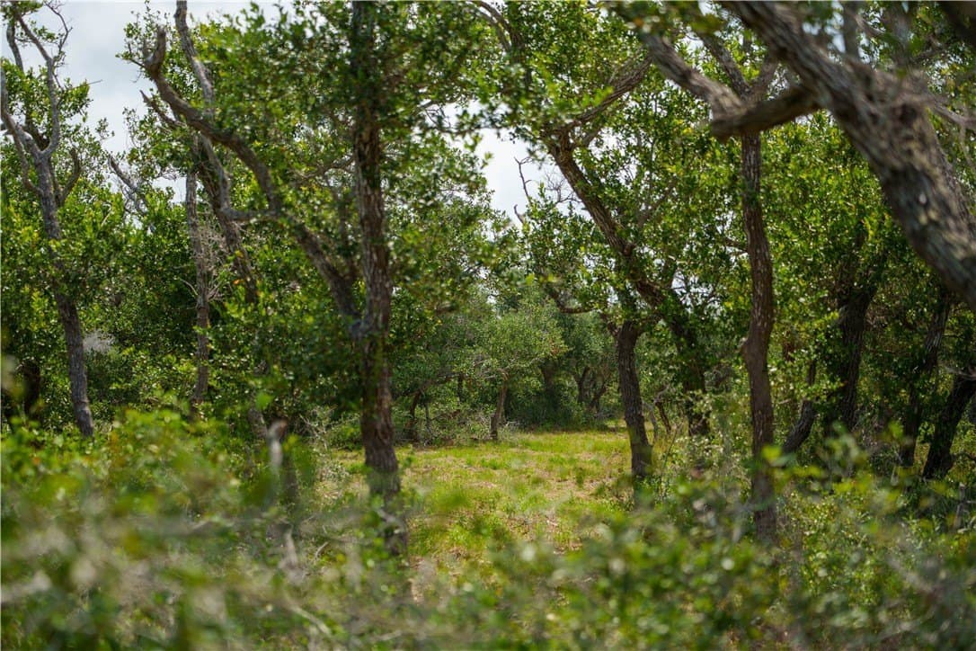 11.66 acres in Aransas County - photo 9