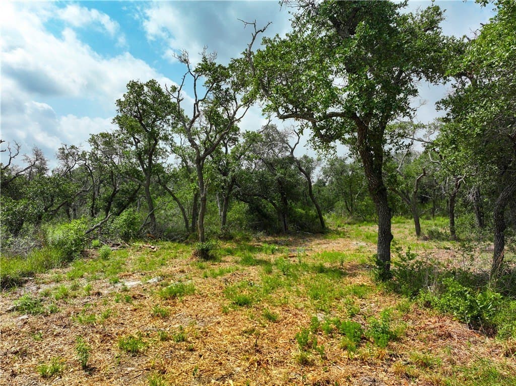 11.66 acres in Aransas County - photo 26