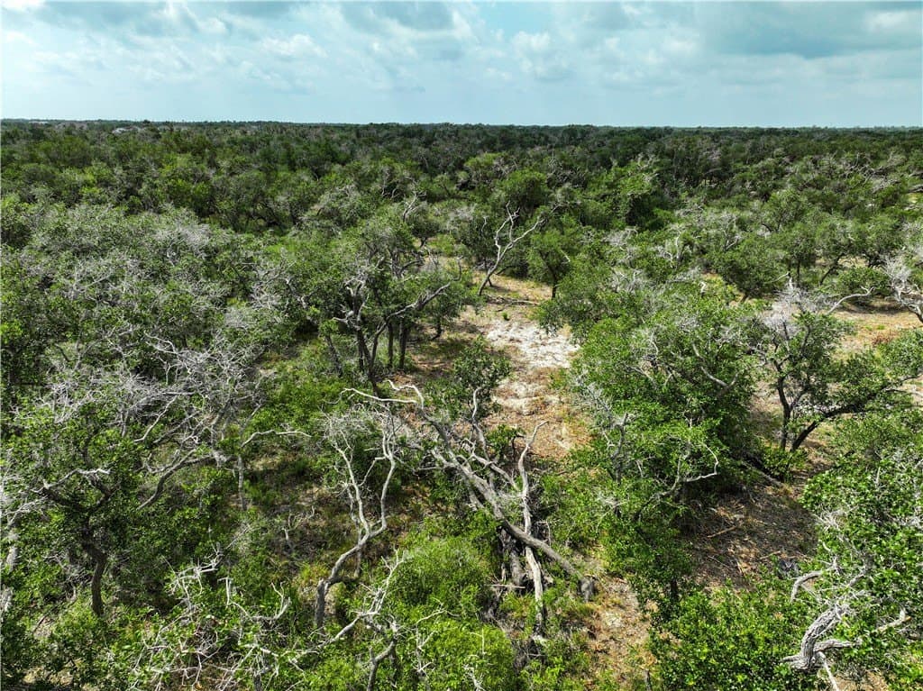 11.66 acres in Aransas County - photo 29