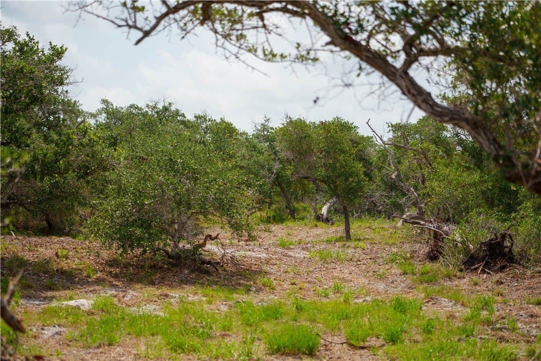 11.66 acres in Aransas County - photo 5