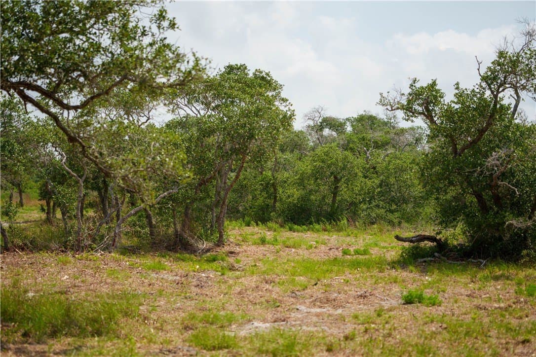 11.66 acres in Aransas County - photo 2