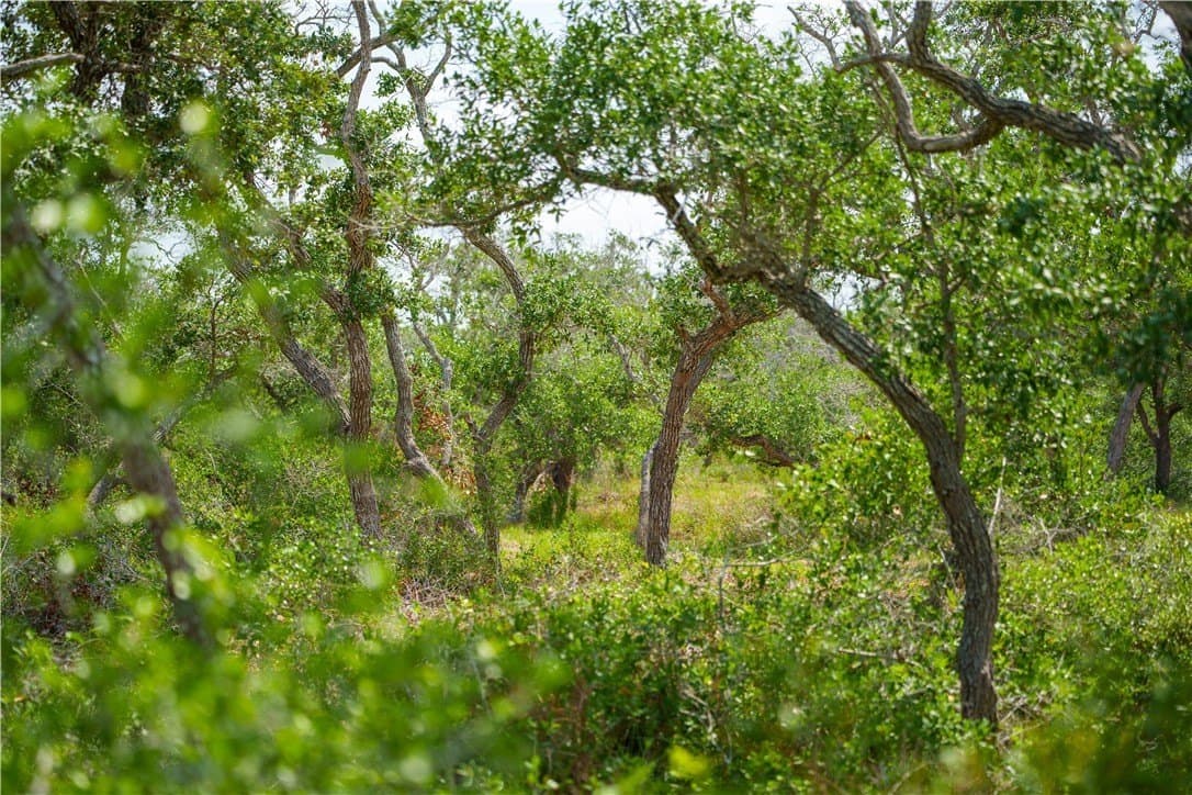 11.66 acres in Aransas County - photo 8