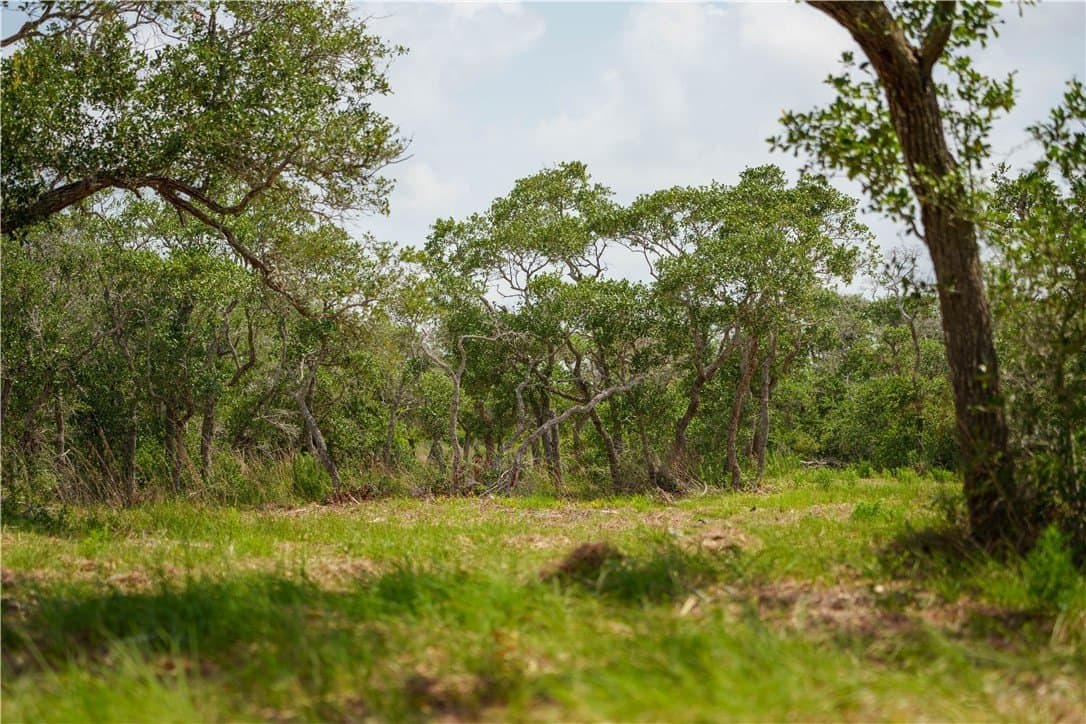 11.66 acres in Aransas County - photo 12