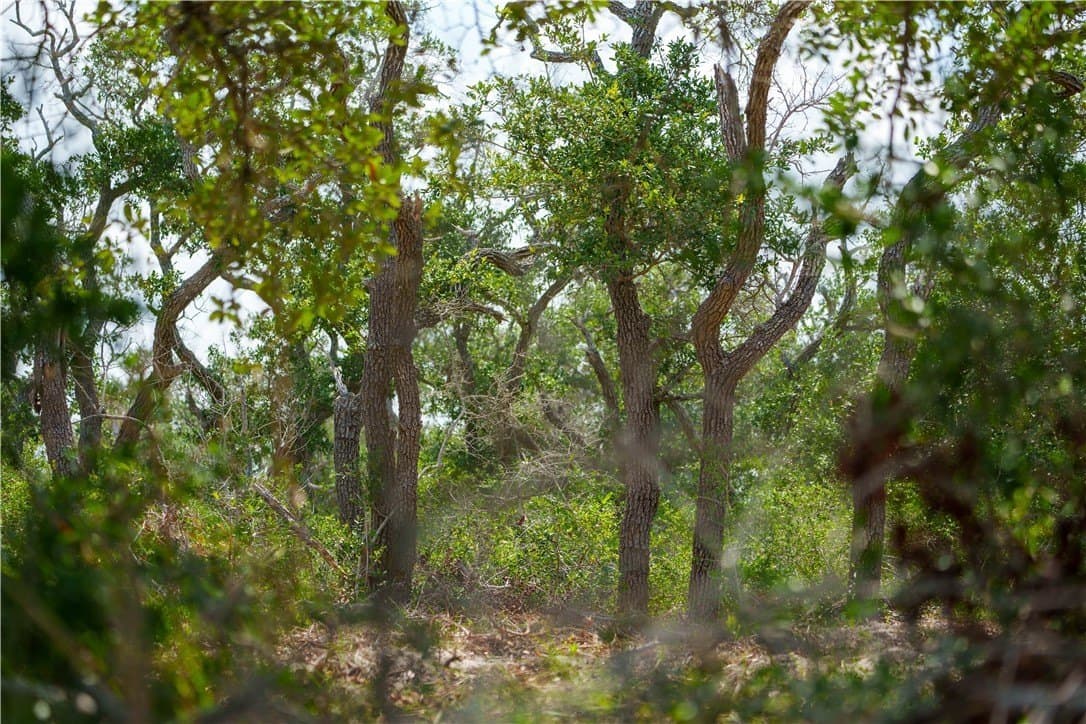 11.66 acres in Aransas County - photo 7