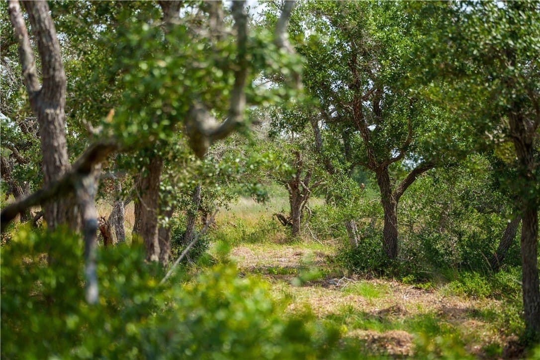 11.66 acres in Aransas County - photo 10