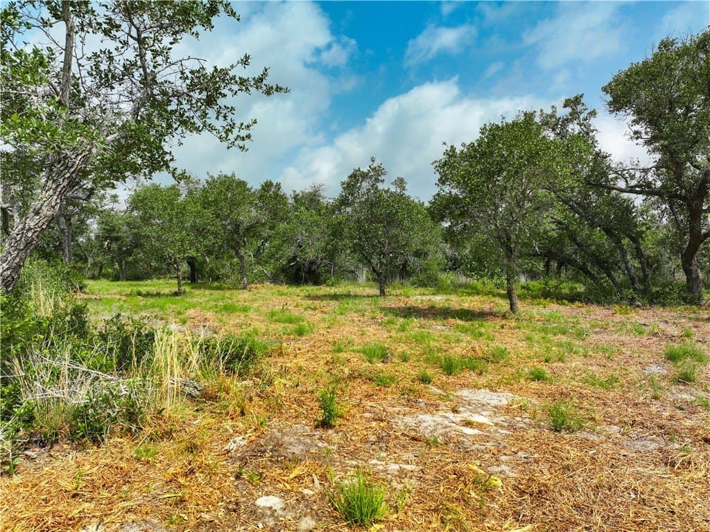 11.66 acres in Aransas County - photo 24