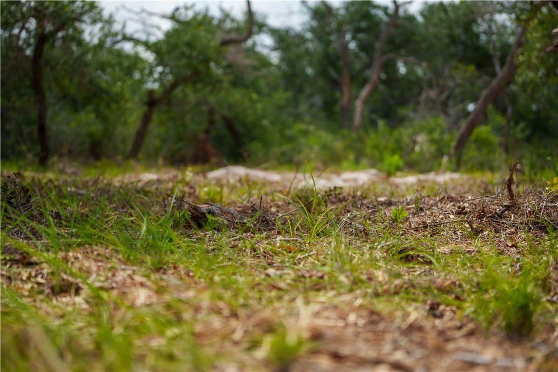 11.66 acres in Aransas County - photo 6