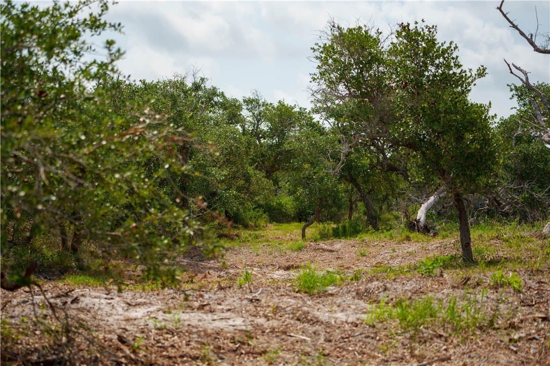 11.66 acres in Aransas County - photo 4