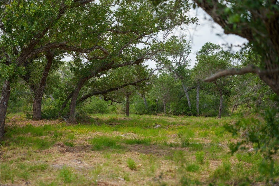 11.66 acres in Aransas County - photo 11