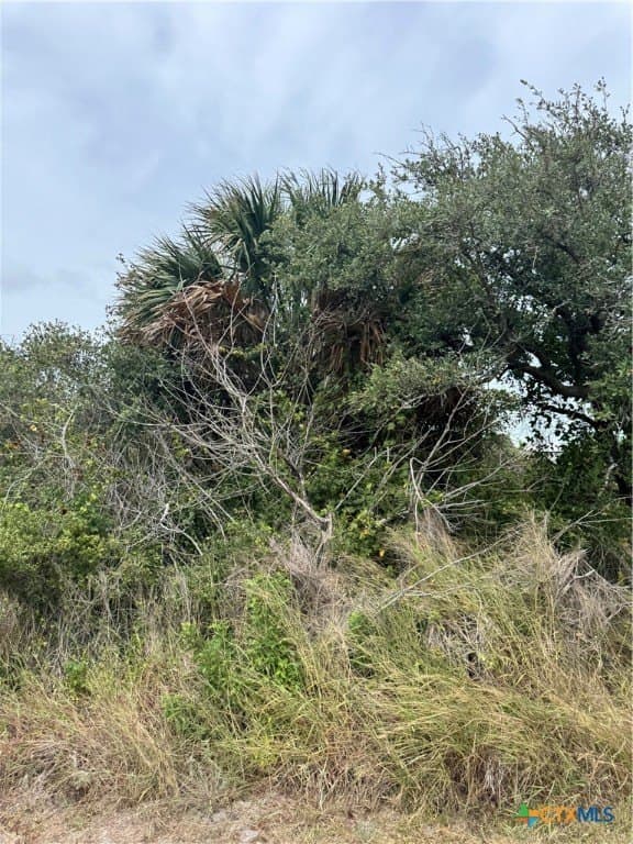 0.29 acres in Aransas County - photo 5