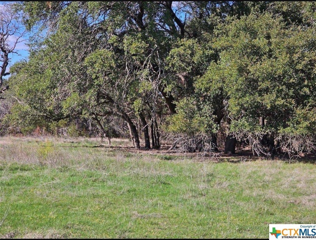 10.96 acres in Burnet County - photo 4