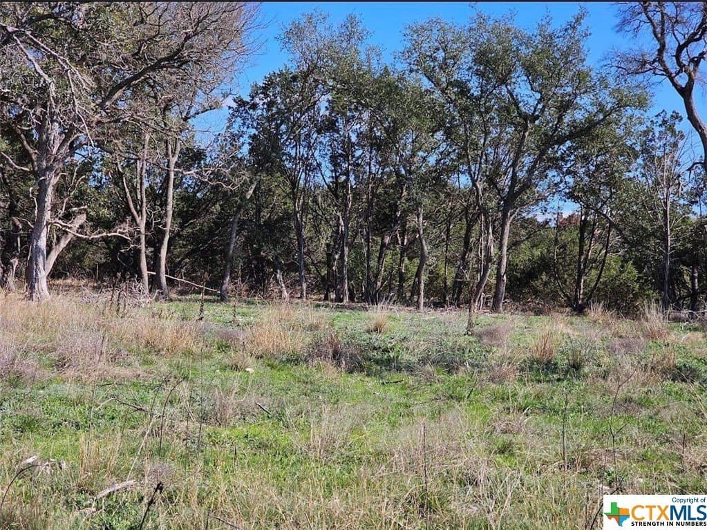 10.96 acres in Burnet County - photo 3