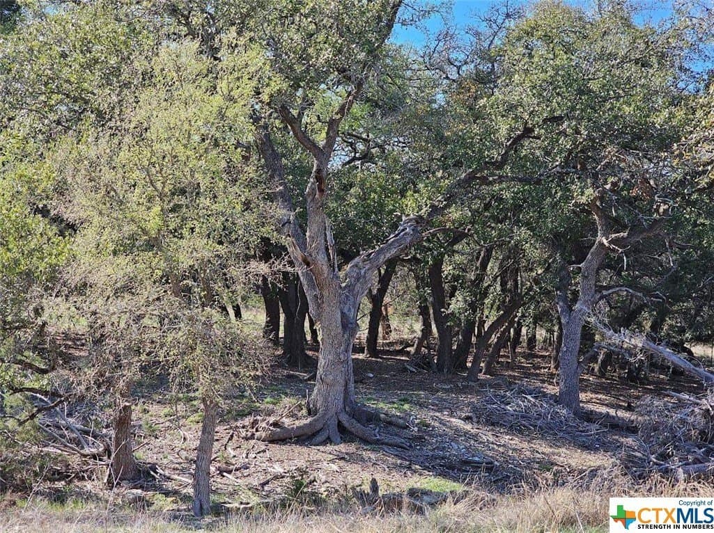 10.96 acres in Burnet County - photo 5