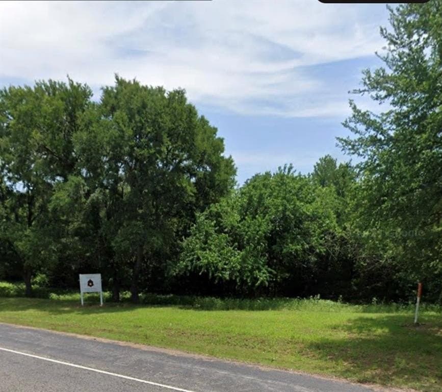 0.67 acres in Fannin County - photo 4