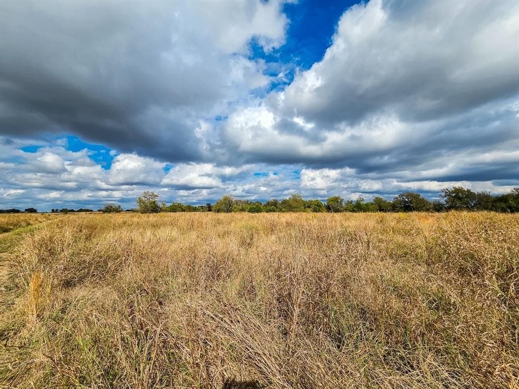 17.79 acres in Fannin County - photo 2