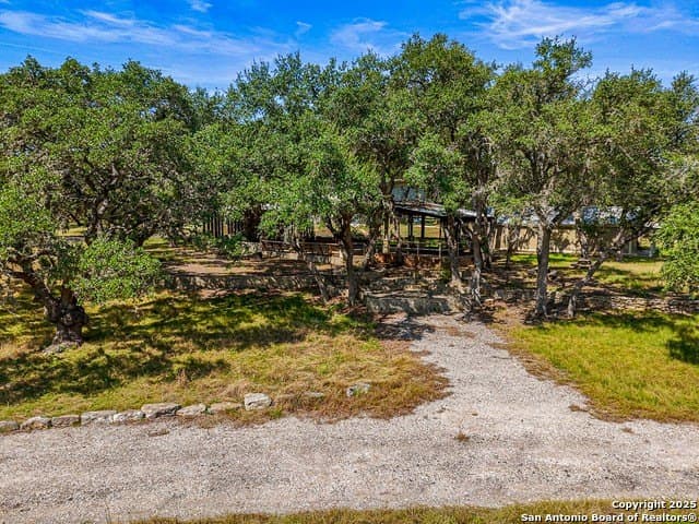 20.31 acres in Comal County - photo 24
