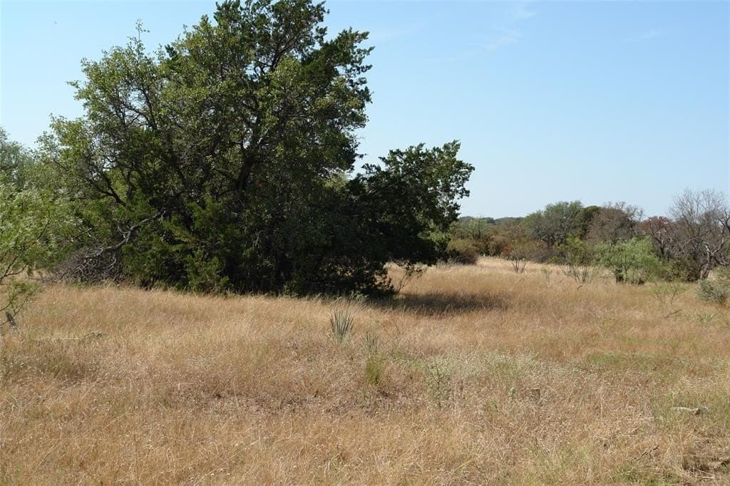 111 acres in McCulloch County - photo 4