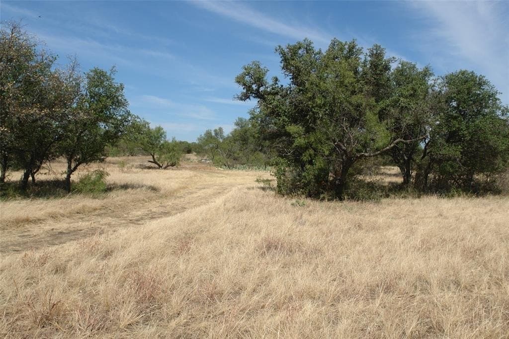 111 acres in McCulloch County - photo 13