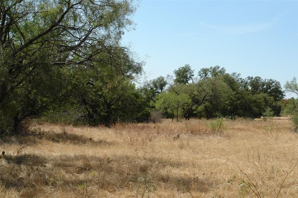 111 acres in McCulloch County - photo 14