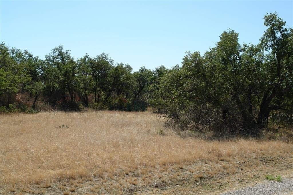 111 acres in McCulloch County - photo 8