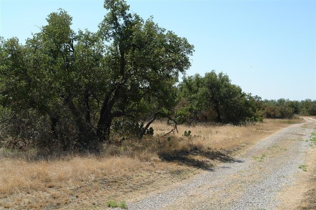 111 acres in McCulloch County - photo 7